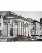 Progetto Tempio di Portunus - Roma