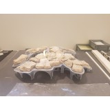 Terme degli stucchi dipinti - Roma