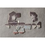 Terme degli stucchi dipinti - Roma